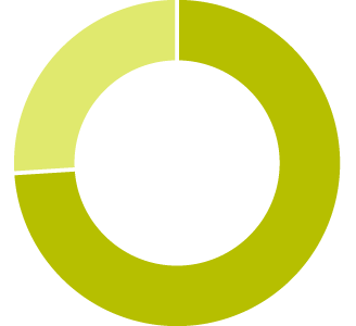 Pie chart - 74%